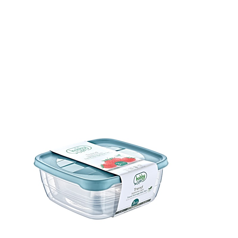 02 1036-3 PCS SQUARE TREND STORAGE BOX (0,9+1,5+2,5 LT)  	8694064011779 	L21	W21	H8.5