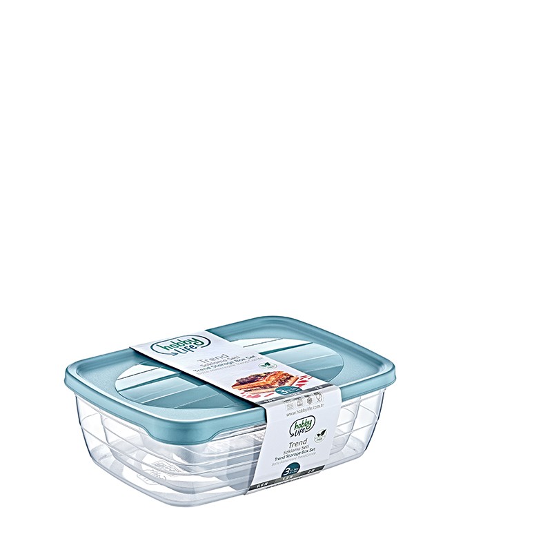 02 1011-TREND STORAGE BOX SET OF 3  (0,6+1,2+2 LT)        L16.5	W23	H7.5