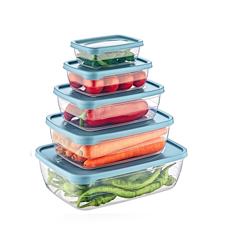 02 1013-TREND STORAGE BOX SET OF 5  (0,3+0,6+1,2+2+3 LT)            	L19.5	W27.5	H8.5