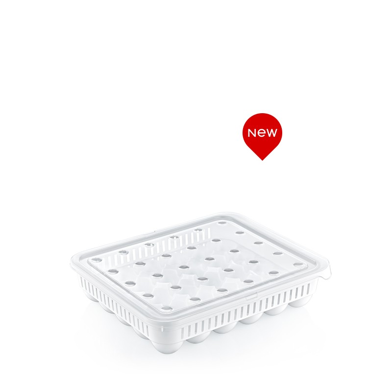 02 1053	-	30 PCS EGG STORAGE BOX	 L27.8	W33.5	H7.3