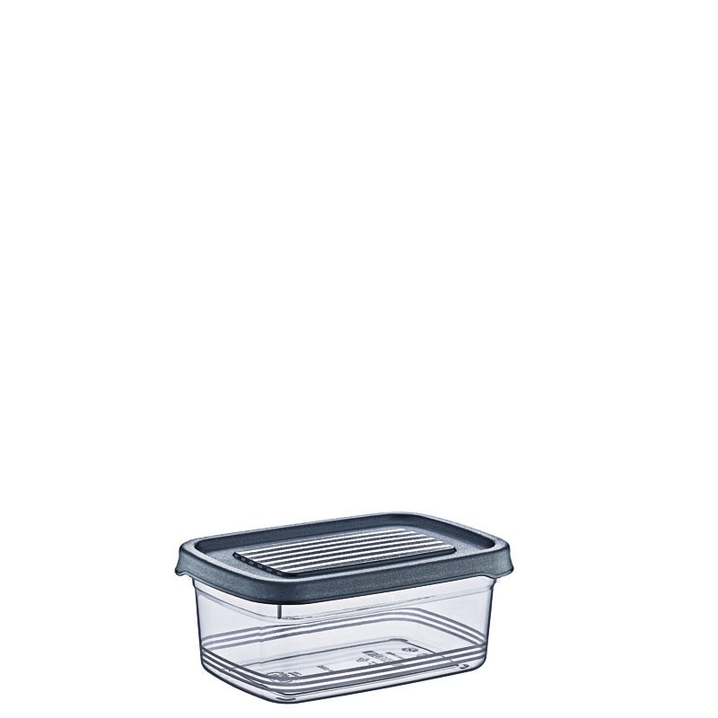 02 1342  -	500 ML FESTIVA STORAGE BOX	H10	 L14	W5.9