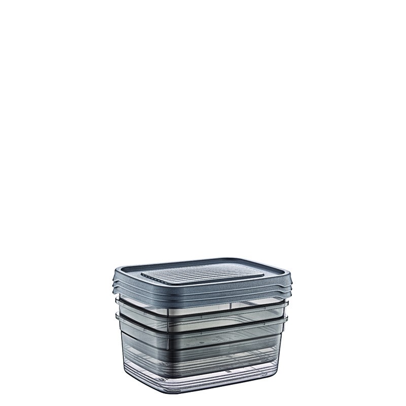 02 1355	 -food Storage Containers	Festiva		3X275 ML RECT.FESTIVA STORAGE BOX